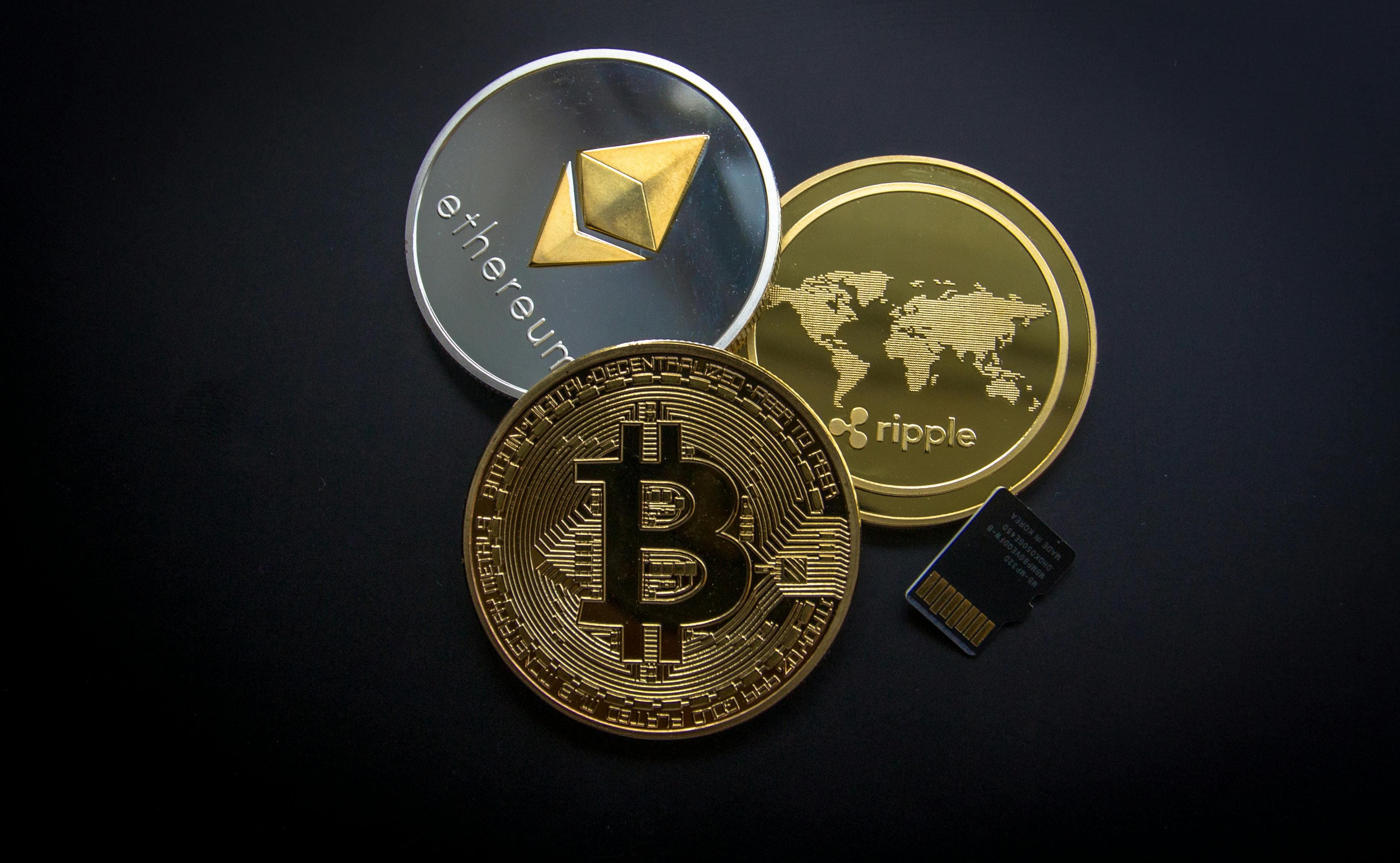 Magnified view of a crypto wallet with transaction logs